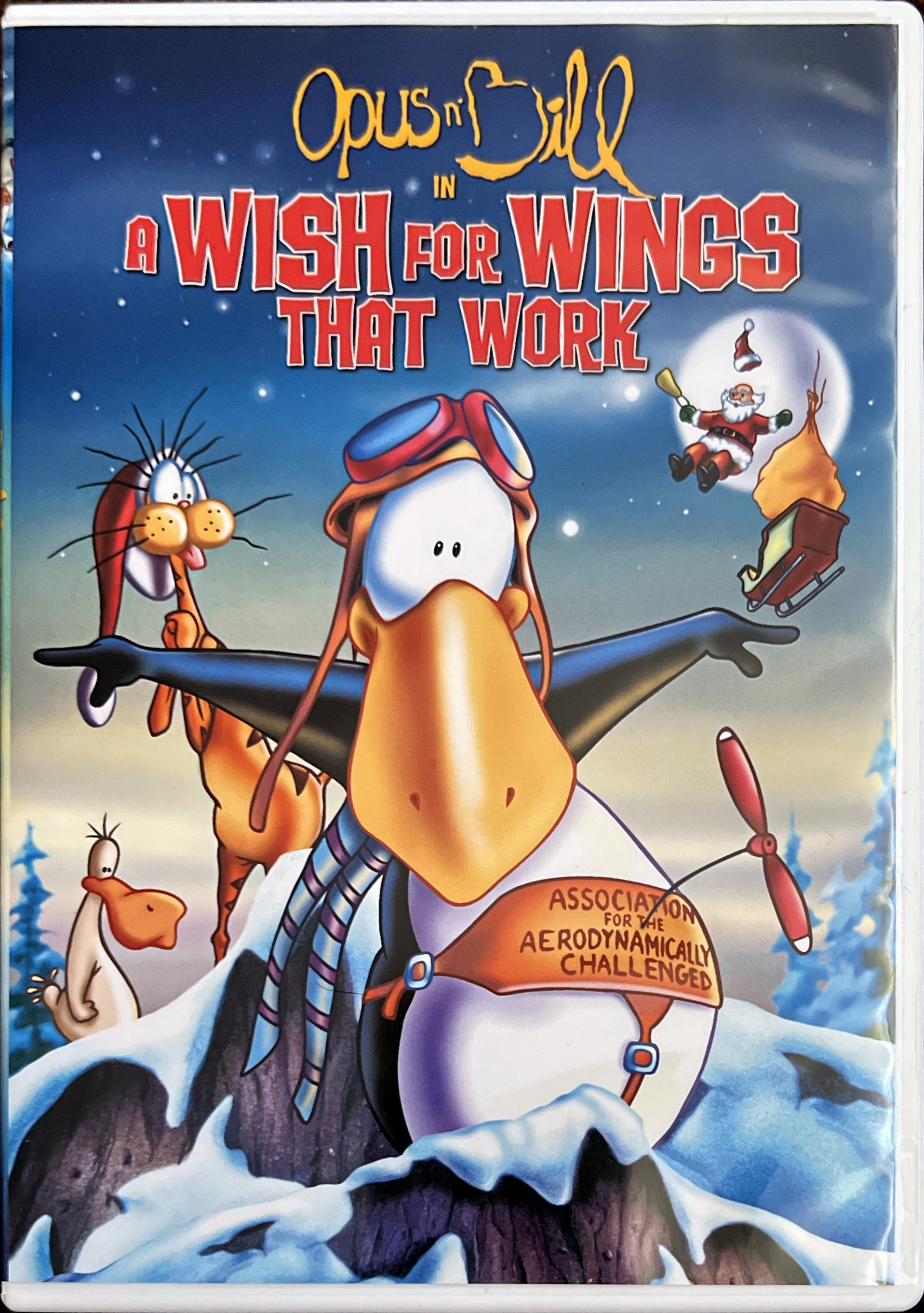 A Wish for Wings That Work
