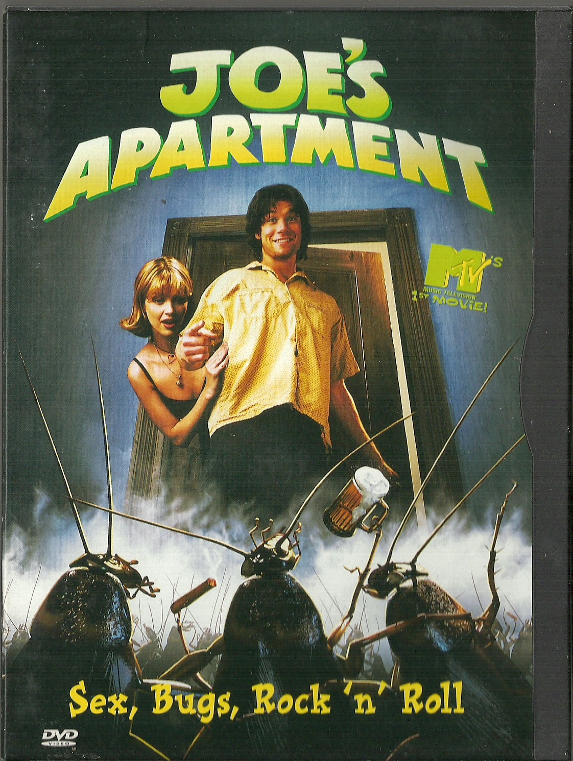 Joe's Apartment